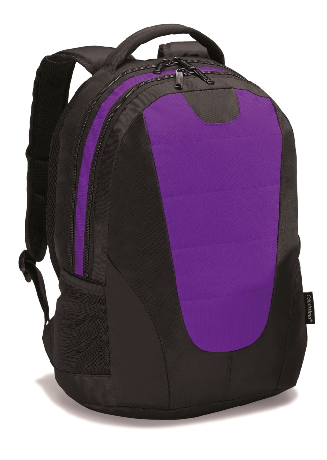 Logo trade reklaamkingituse pilt: ##Sülearvuti 14" seljakott Colorissimo, lilla